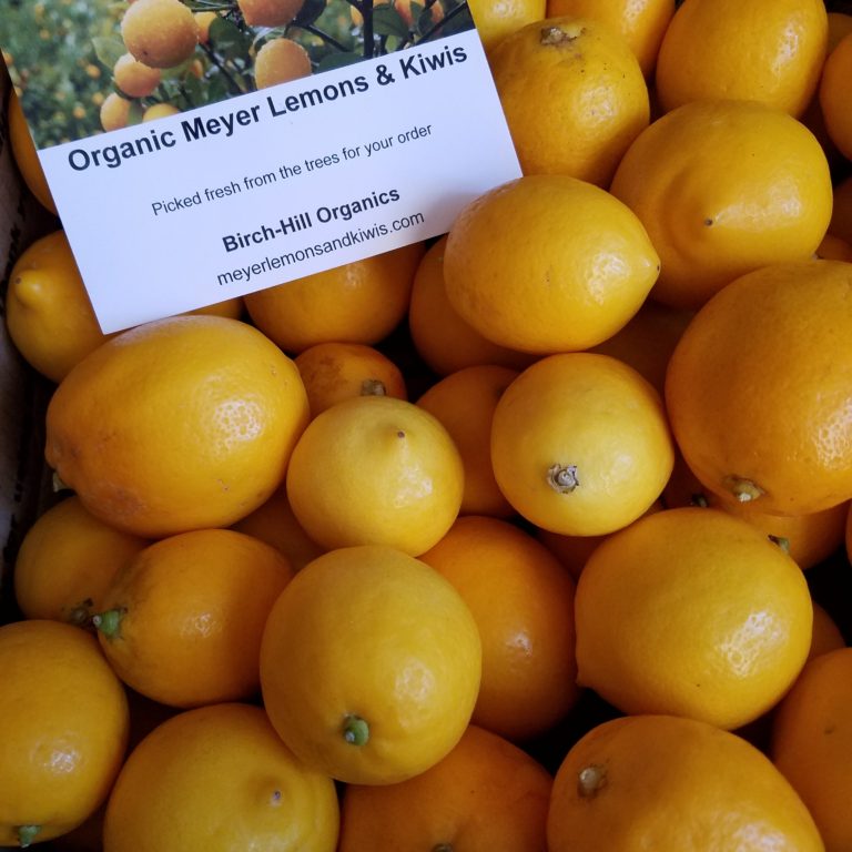 When Life Gives You Lemons: Preserve Them
