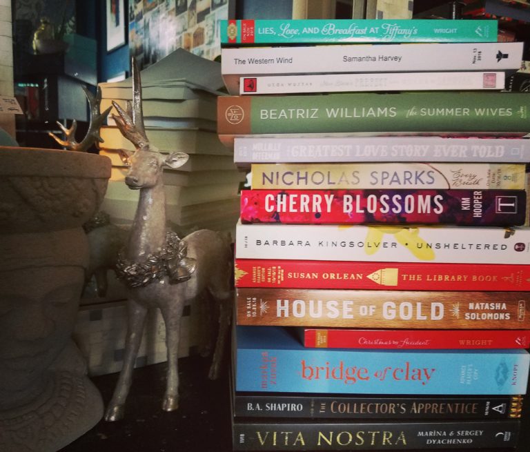 The November To Be Read Book Stack